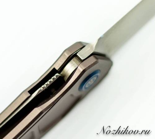 5891 Maxace Knife Maxace Ptilopsis Light фото 4