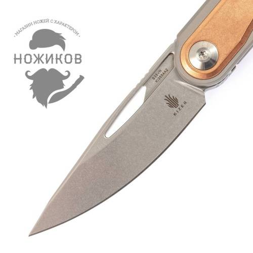 5891 Kizer Apus фото 6